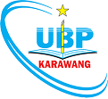 Partner APN